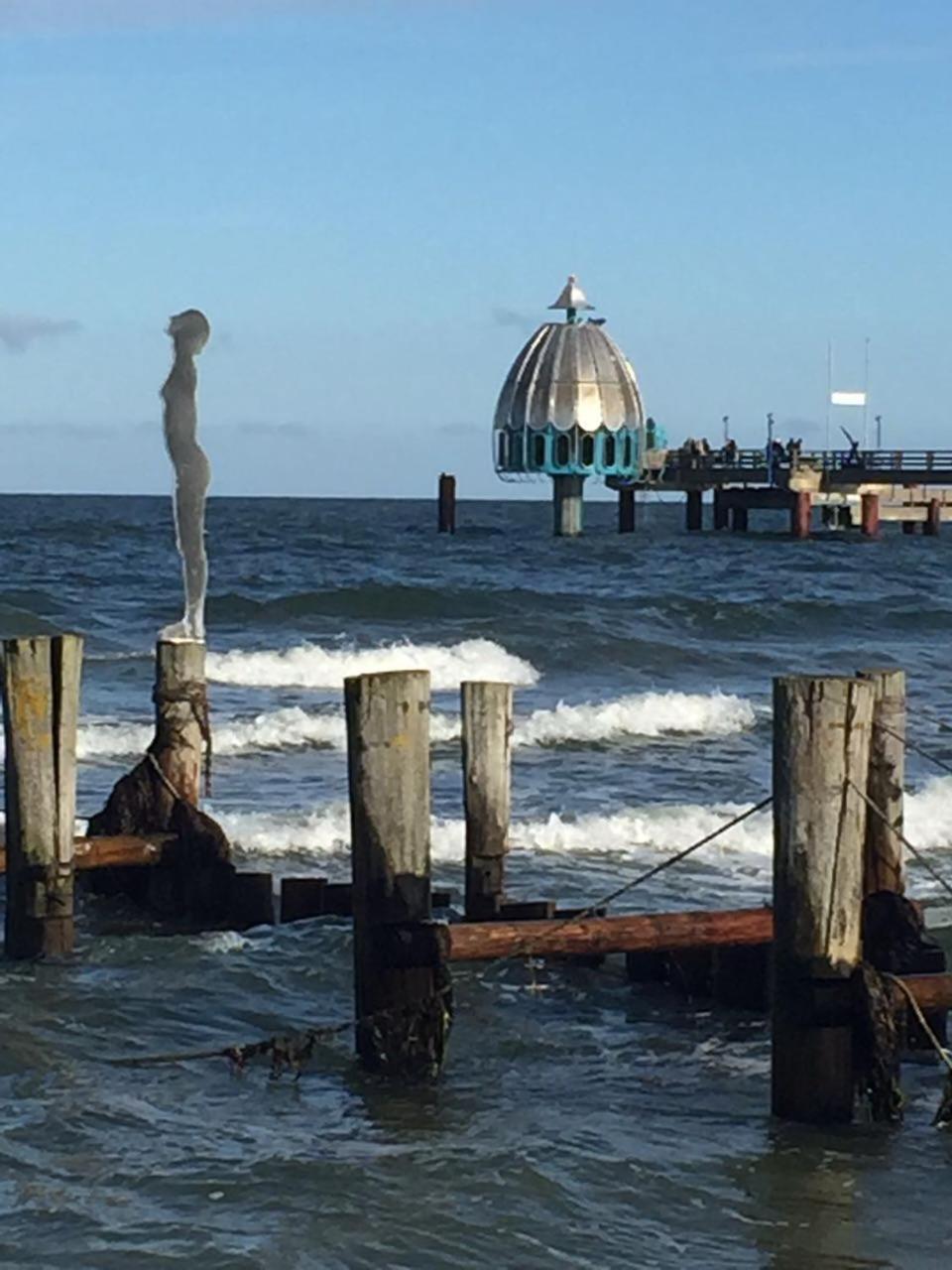 Haus Selma Apartment Zingst Luaran gambar