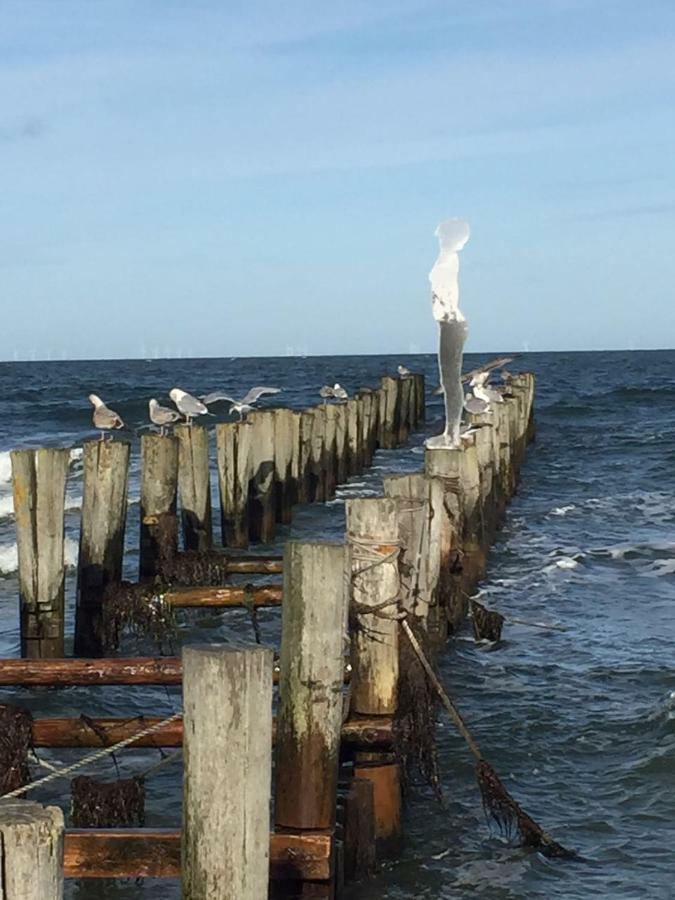 Haus Selma Apartment Zingst Luaran gambar